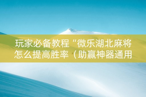 玩家必备教程“微乐湖北麻将怎么提高胜率（助赢神器通用版）
