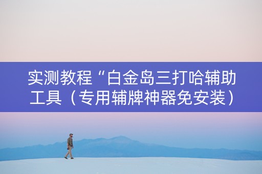 实测教程“白金岛三打哈辅助工具（专用辅牌神器免安装）