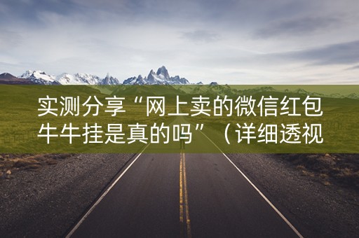 实测分享“网上卖的微信红包牛牛挂是真的吗”（详细透视教程）-哔哩哔哩