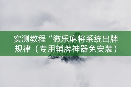 实测教程“微乐麻将系统出牌规律（专用辅牌神器免安装）