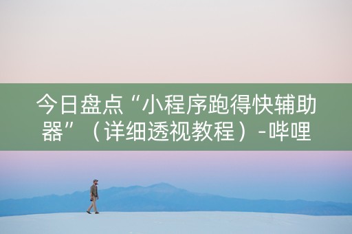 今日盘点“小程序跑得快辅助器”（详细透视教程）-哔哩哔哩