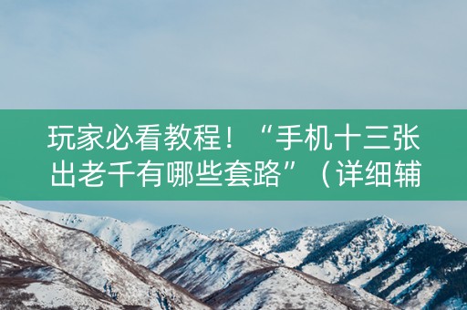 玩家必看教程！“手机十三张出老千有哪些套路”（详细辅助教程）-哔哩哔哩