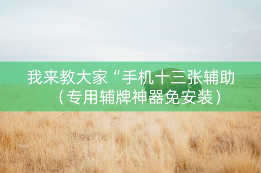我来教大家“手机十三张辅助（专用辅牌神器免安装）