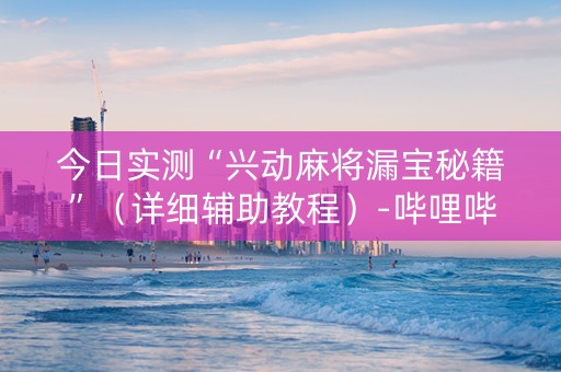 今日实测“兴动麻将漏宝秘籍”（详细辅助教程）-哔哩哔哩