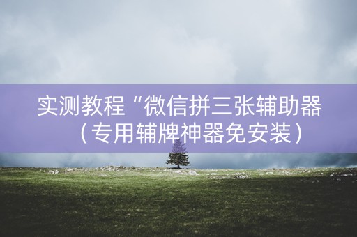 实测教程“微信拼三张辅助器（专用辅牌神器免安装）