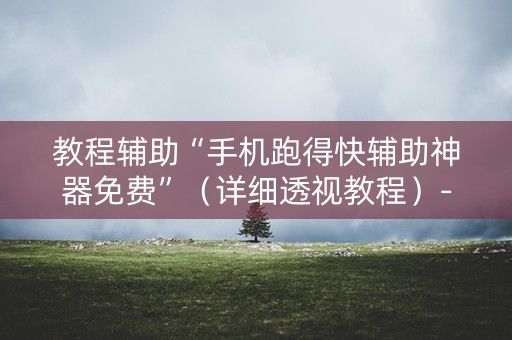 教程辅助“手机跑得快辅助神器免费”（详细透视教程）-哔哩哔哩