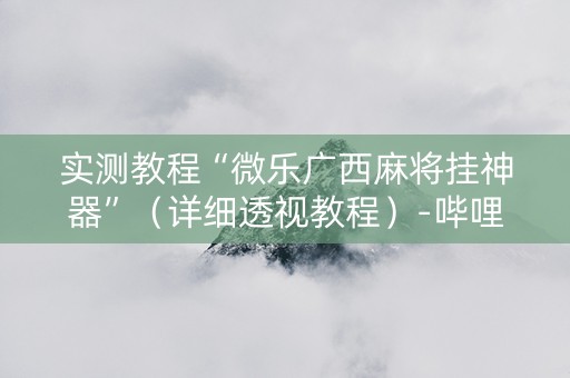 实测教程“微乐广西麻将挂神器”（详细透视教程）-哔哩哔哩