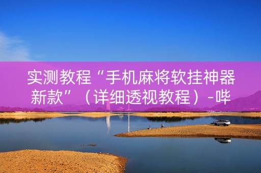 实测教程“手机麻将软挂神器新款”（详细透视教程）-哔哩哔哩