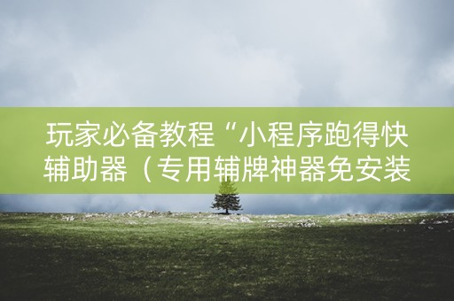 玩家必备教程“小程序跑得快辅助器（专用辅牌神器免安装）