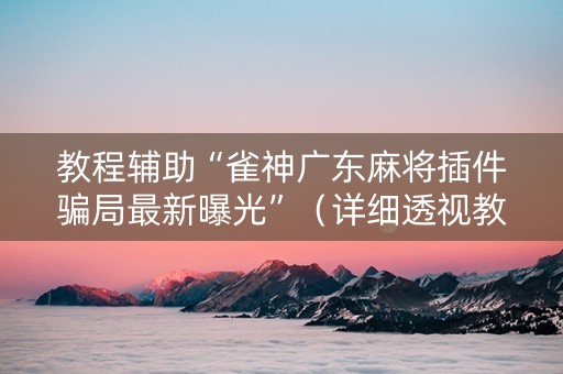 教程辅助“雀神广东麻将插件骗局最新曝光”（详细透视教程）-哔哩哔哩