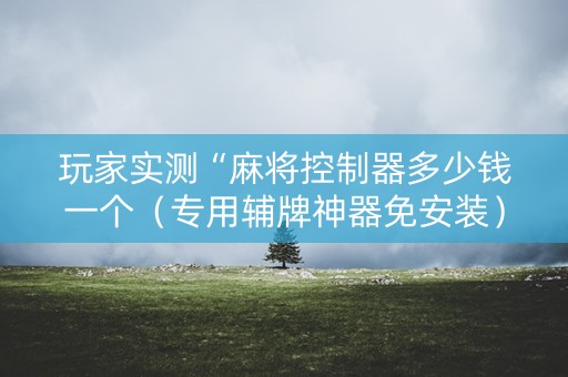 玩家实测“麻将控制器多少钱一个（专用辅牌神器免安装）