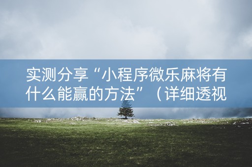 实测分享“小程序微乐麻将有什么能赢的方法”（详细透视教程）-哔哩哔哩