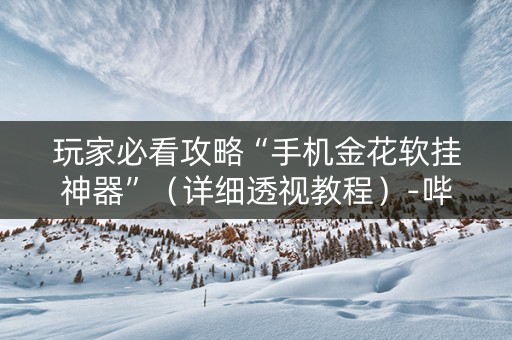 玩家必看攻略“手机金花软挂神器”（详细透视教程）-哔哩哔哩