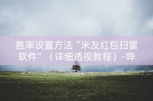 胜率设置方法“米友红包扫雷软件”（详细透视教程）-哔哩哔哩