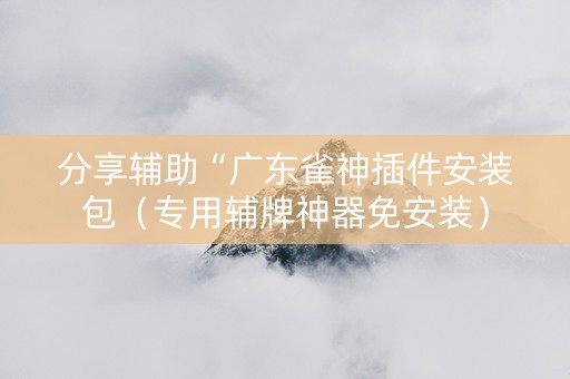 分享辅助“广东雀神插件安装包（专用辅牌神器免安装）
