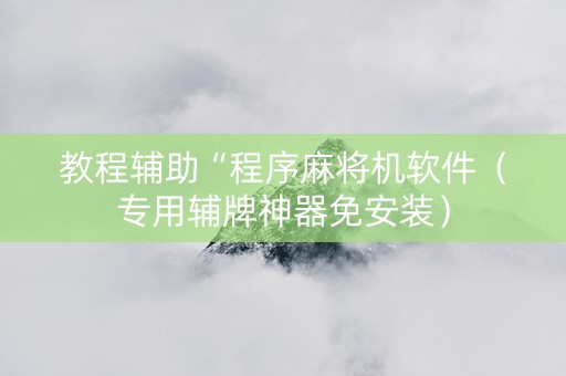 教程辅助“程序麻将机软件（专用辅牌神器免安装）