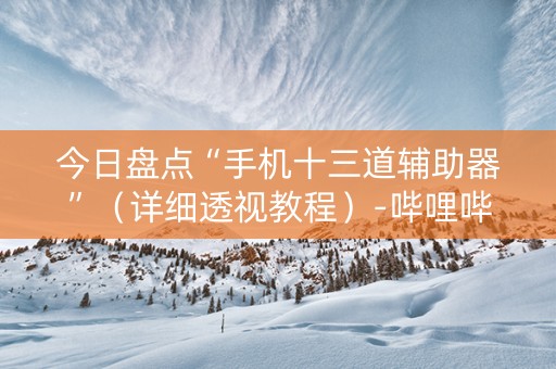 今日盘点“手机十三道辅助器”（详细透视教程）-哔哩哔哩
