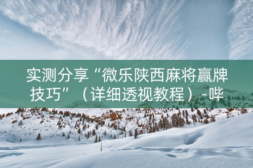 实测分享“微乐陕西麻将赢牌技巧”（详细透视教程）-哔哩哔哩