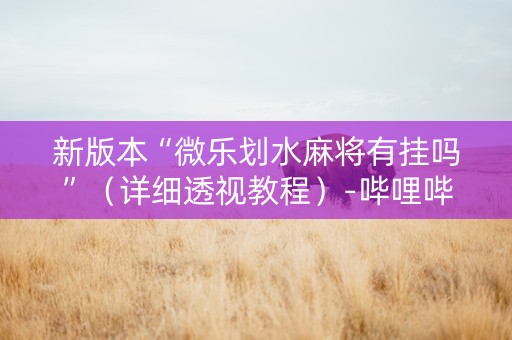 新版本“微乐划水麻将有挂吗”（详细透视教程）-哔哩哔哩