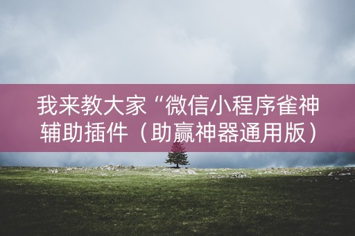 我来教大家“微信小程序雀神辅助插件（助赢神器通用版）