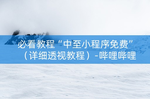 必看教程“中至小程序免费”（详细透视教程）-哔哩哔哩
