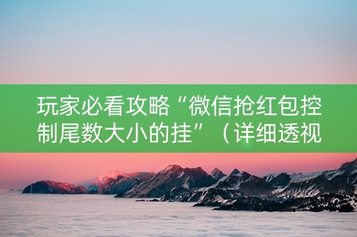 玩家必看攻略“微信抢红包控制尾数大小的挂”（详细透视教程）-哔哩哔哩