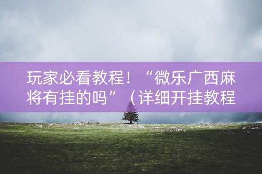 玩家必看教程！“微乐广西麻将有挂的吗”（详细开挂教程）-哔哩哔哩