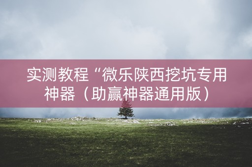 实测教程“微乐陕西挖坑专用神器（助赢神器通用版）
