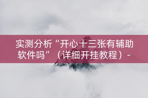 实测分析“开心十三张有辅助软件吗”（详细开挂教程）-哔哩哔哩
