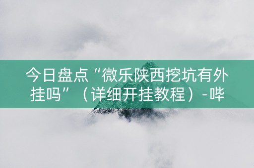 今日盘点“微乐陕西挖坑有外挂吗”（详细开挂教程）-哔哩哔哩
