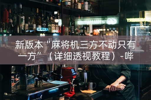 新版本“麻将机三方不动只有一方”（详细透视教程）-哔哩哔哩