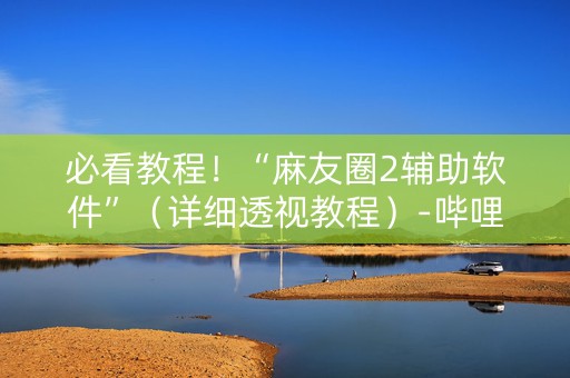 必看教程！“麻友圈2辅助软件”（详细透视教程）-哔哩哔哩