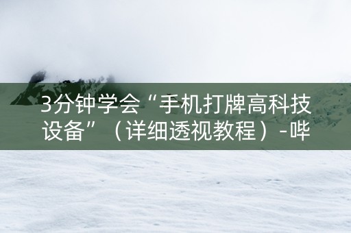 3分钟学会“手机打牌高科技设备”（详细透视教程）-哔哩哔哩