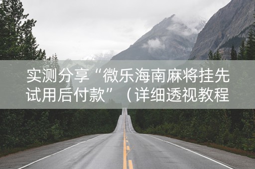 实测分享“微乐海南麻将挂先试用后付款”（详细透视教程）-哔哩哔哩