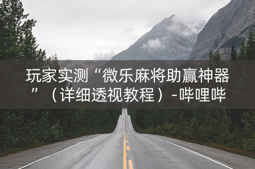 玩家实测“微乐麻将助赢神器”（详细透视教程）-哔哩哔哩