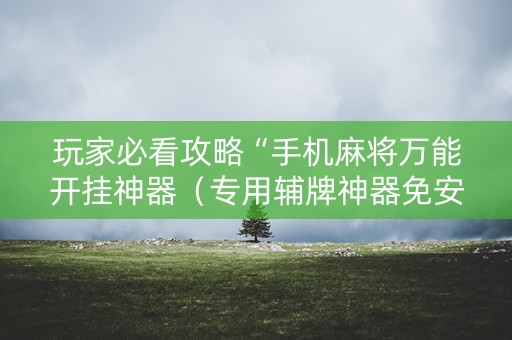 玩家必看攻略“手机麻将万能开挂神器（专用辅牌神器免安装）