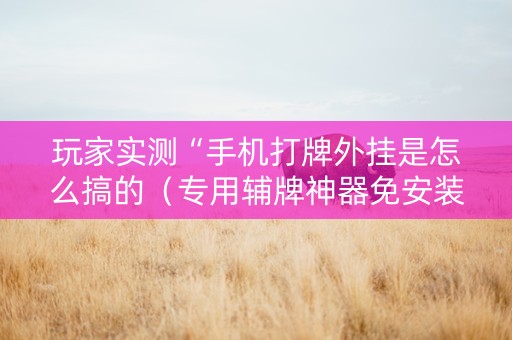 玩家实测“手机打牌外挂是怎么搞的（专用辅牌神器免安装）
