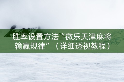 胜率设置方法“微乐天津麻将输赢规律”（详细透视教程）-哔哩哔哩