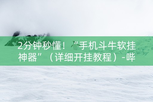 2分钟秒懂！“手机斗牛软挂神器”（详细开挂教程）-哔哩哔哩