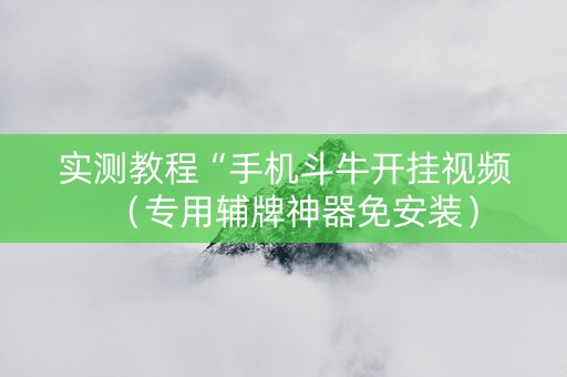 实测教程“手机斗牛开挂视频（专用辅牌神器免安装）