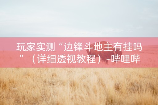 玩家实测“边锋斗地主有挂吗”（详细透视教程）-哔哩哔哩