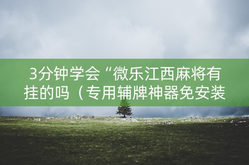 3分钟学会“微乐江西麻将有挂的吗（专用辅牌神器免安装）