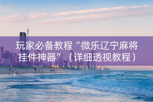 玩家必备教程“微乐辽宁麻将挂件神器”（详细透视教程）-哔哩哔哩