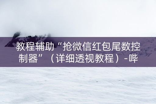 教程辅助“抢微信红包尾数控制器”（详细透视教程）-哔哩哔哩