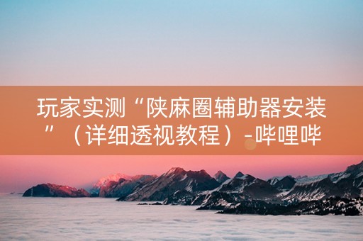 玩家实测“陕麻圈辅助器安装”（详细透视教程）-哔哩哔哩