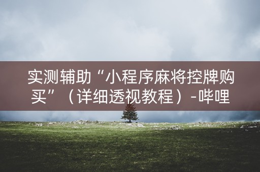实测辅助“小程序麻将控牌购买”（详细透视教程）-哔哩哔哩