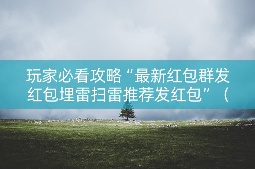 玩家必看攻略“最新红包群发红包埋雷扫雷推荐发红包”（详细透视教程）-哔哩哔哩