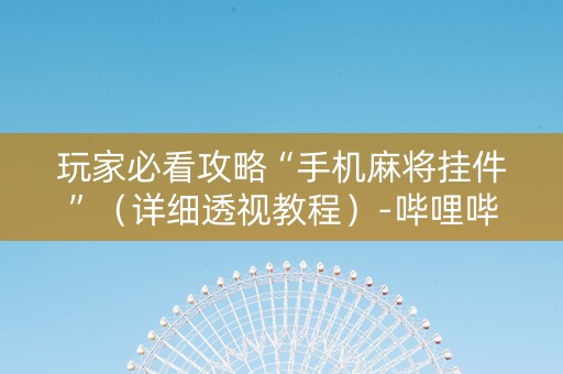 玩家必看攻略“手机麻将挂件”（详细透视教程）-哔哩哔哩
