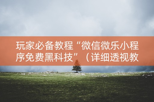 玩家必备教程“微信微乐小程序免费黑科技”（详细透视教程）-哔哩哔哩