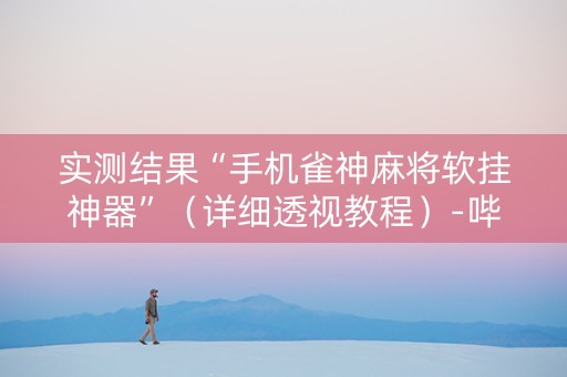 实测结果“手机雀神麻将软挂神器”（详细透视教程）-哔哩哔哩